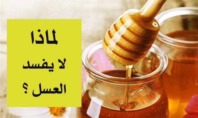 لماذا لا يفسد العسل