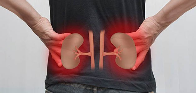 عادات يومية تدمر الكلى