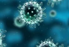 الوباء والجائحة