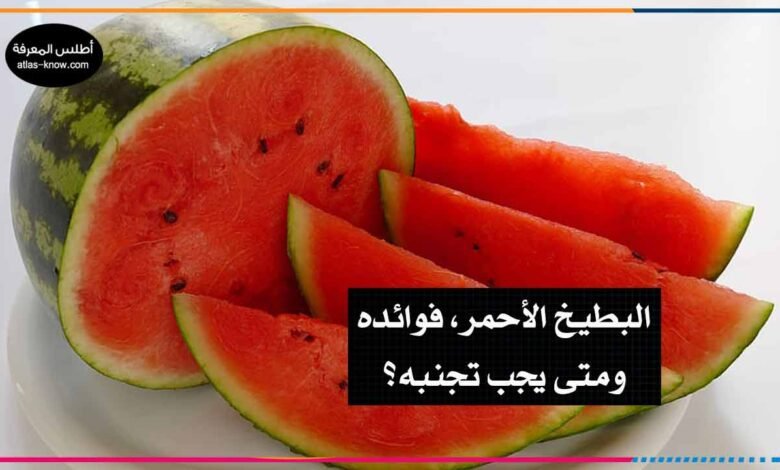 البطيخ الأحمر