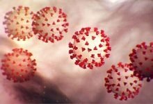 صديق فيروس كورونا