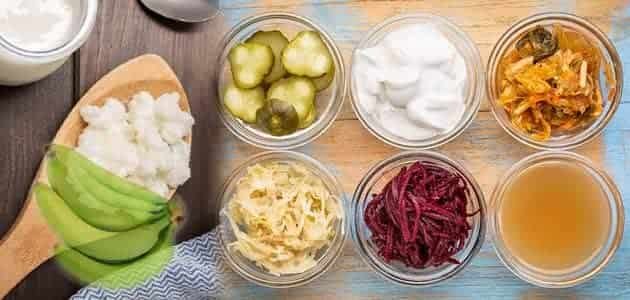 أطعمة غنية بالبروبيوتيك Probiotics مثل الزبادي