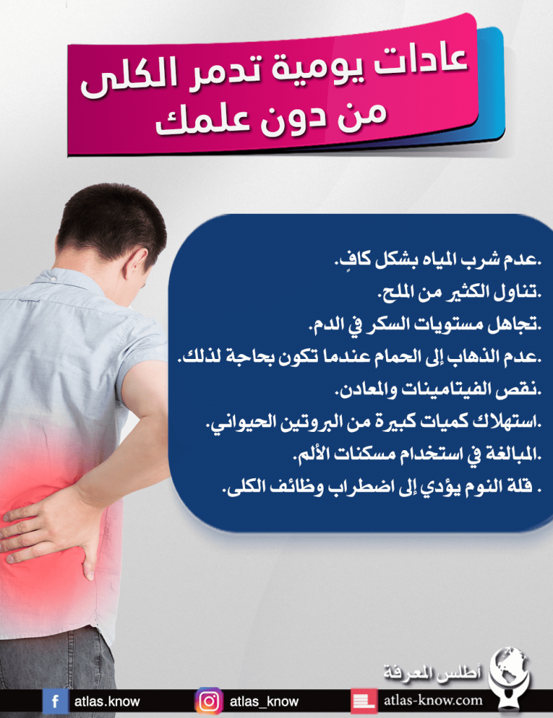 إنفوجرافيك يوضح عادات تدمر الكلى