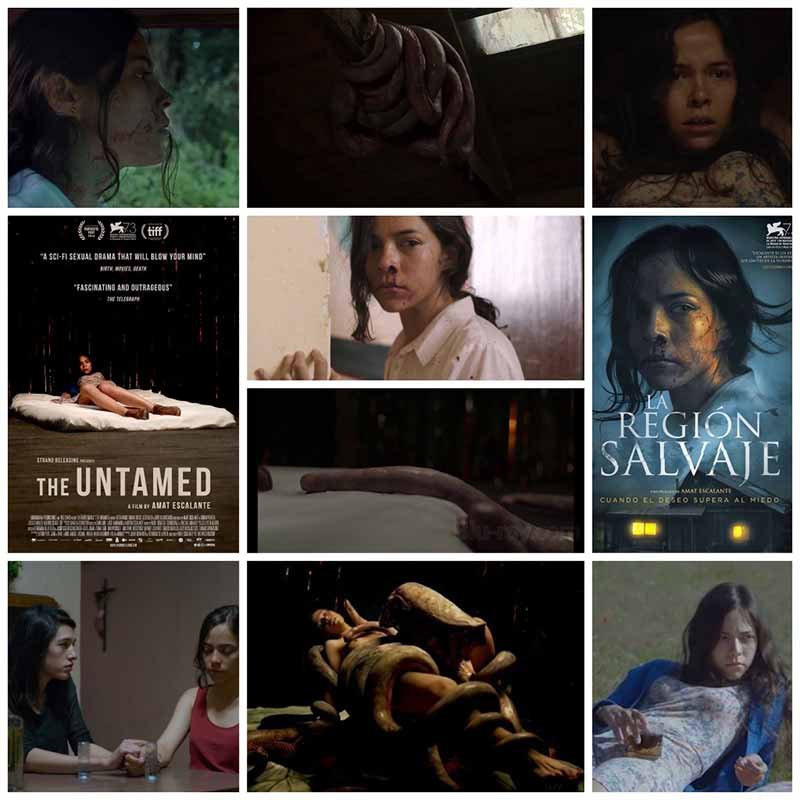فيلم The Untamed من أفلام الخيال العلمي 2021