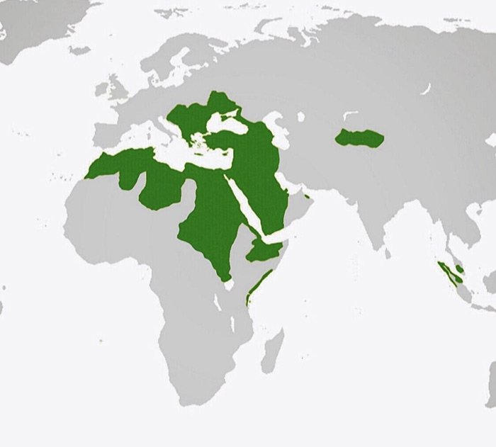 الحرب العثمانية المملوكية
