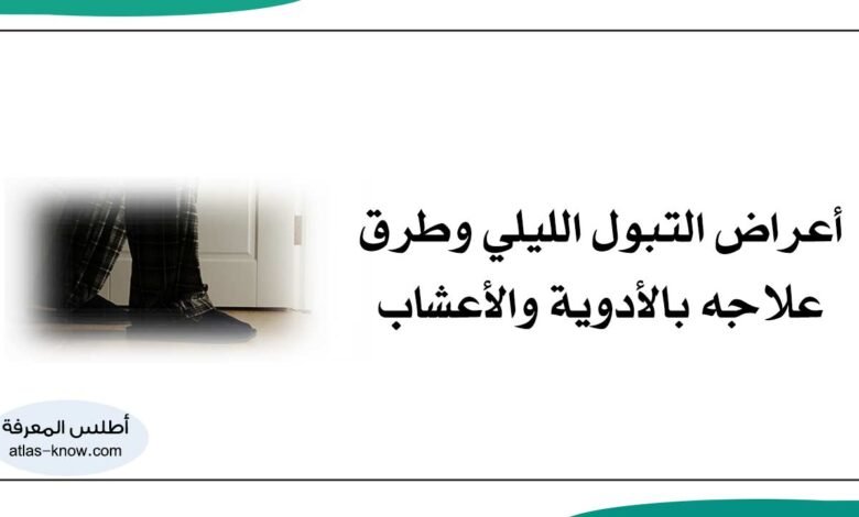 التبول الليلي