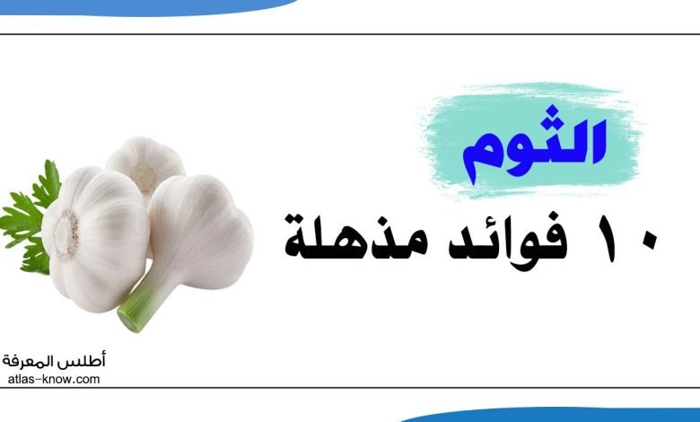 إنفوجراف فوائد الثوم