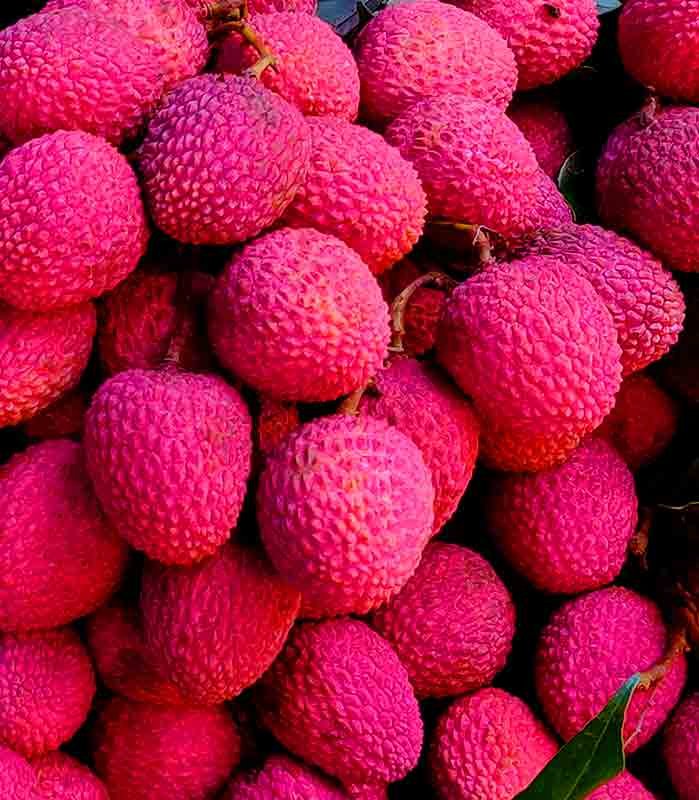 تعزيز الصحية الجنسية للرجل من أهم فوائد فاكهة الليتشي Lychee