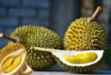 فوائد الدوريان ملكة الفواكه