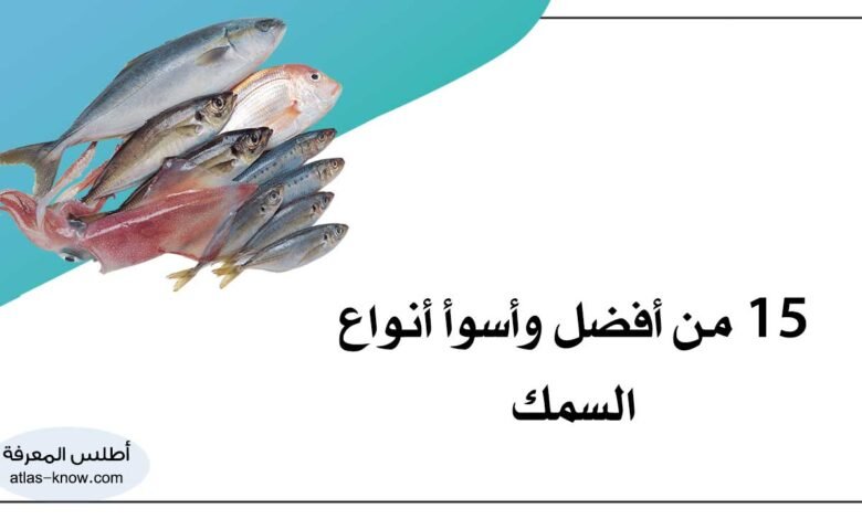 أفضل وأسوأ أنواع السمك