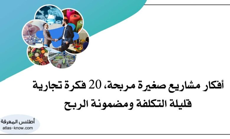 أفكار مشاريع صغيرة مربحة