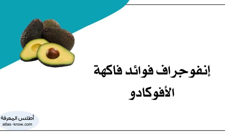 إنفوجراف فوائد فاكهة الأفوكادو