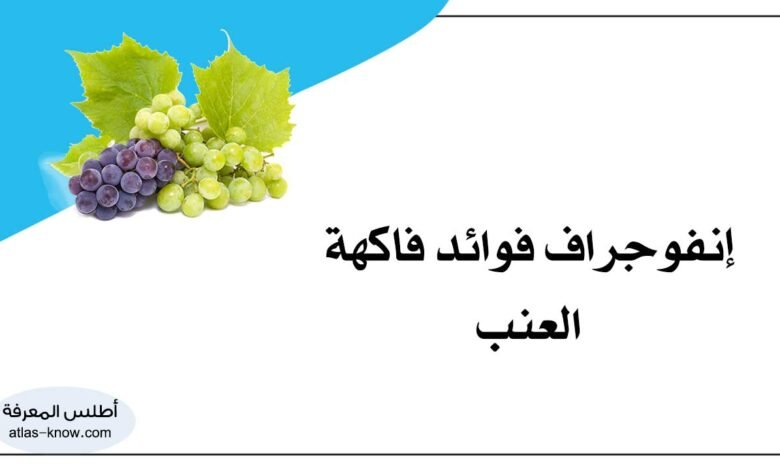 إنفوجراف فوائد فاكهة العنب
