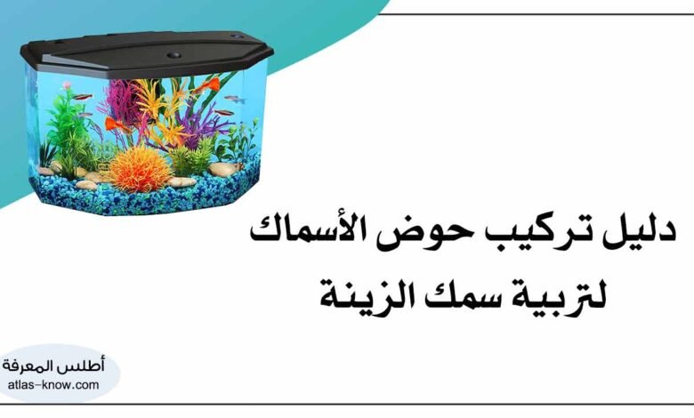 حوض الأسماك