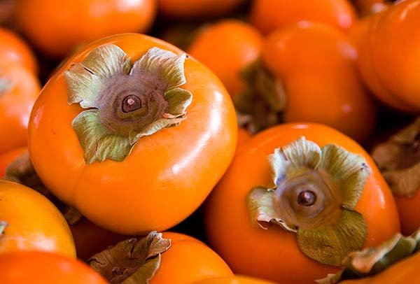 persimmon fruit