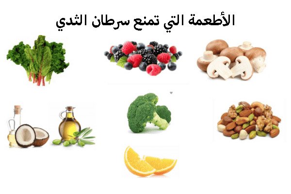 مجموعة من الأطعمة تحارب وتمنع سرطان الثدي مثل زيت الزيتون وجوز الهند والمشروم