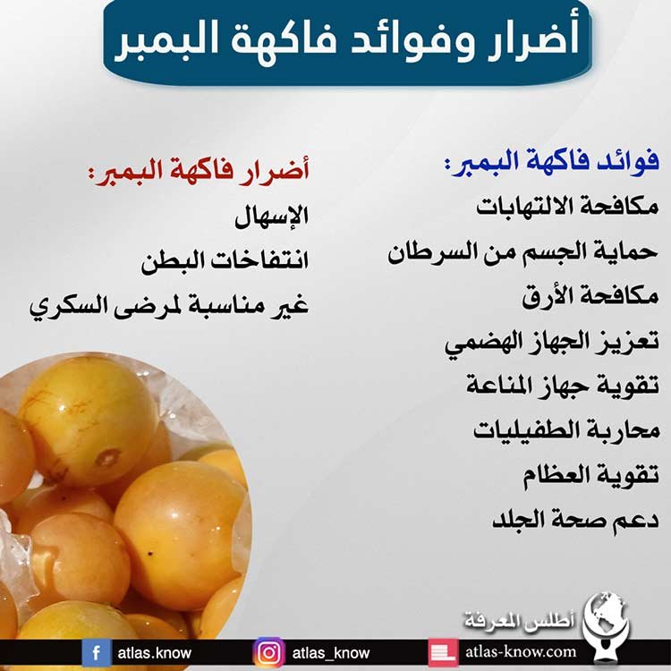 إنفوجراف أضرار وفوائد فاكهة البمبر