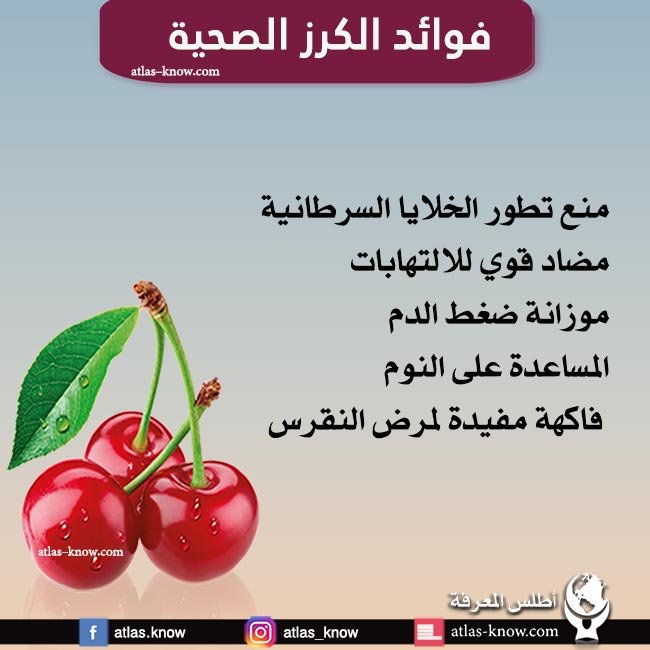 إنفوجراف فوائد فاكهة الكرز الصحية