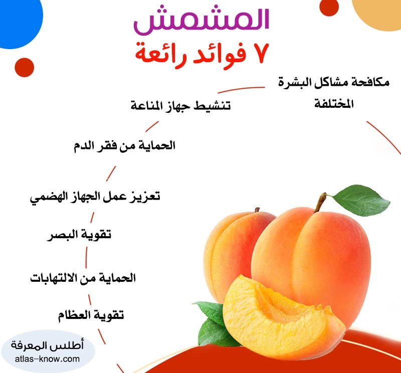 إنفوجراف فوائد فاكهة المشمش