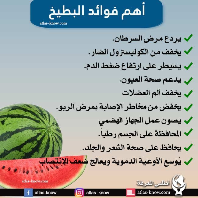 إنفوجراف فوائد فاكهة البطيخ