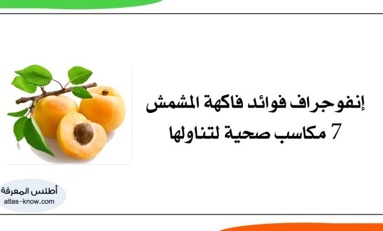 إنفوجراف فوائد فاكهة المشمش