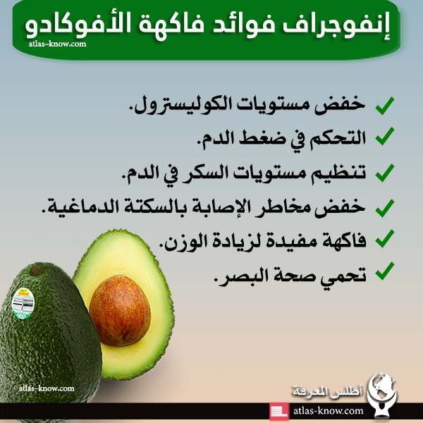 إنفوجرافيك فوائد فاكهة الأفوكادو