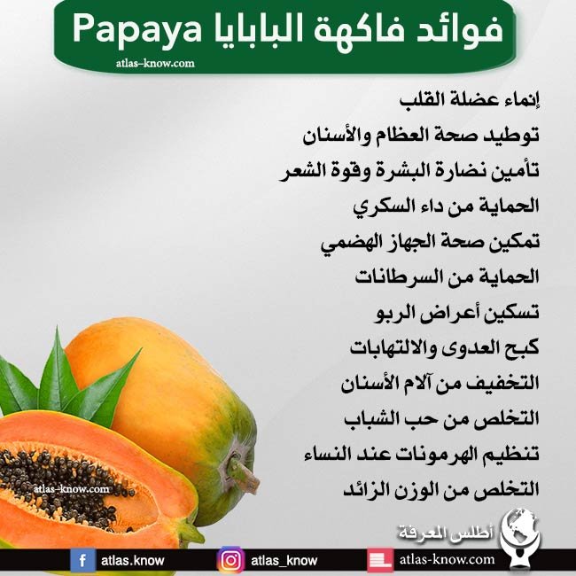 إنفوجرافيك فوائد فاكهة البابايا Papaya