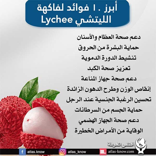إنفوجراف فوائد فاكهة الليتشي Lychee