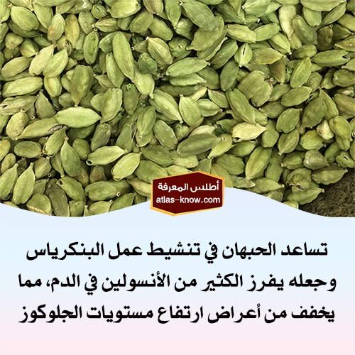 الحبهان نوع توابل يخفض السكر في الدم