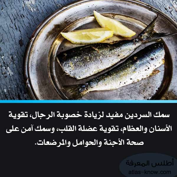 أفضل وأسوأ أنواع السمك