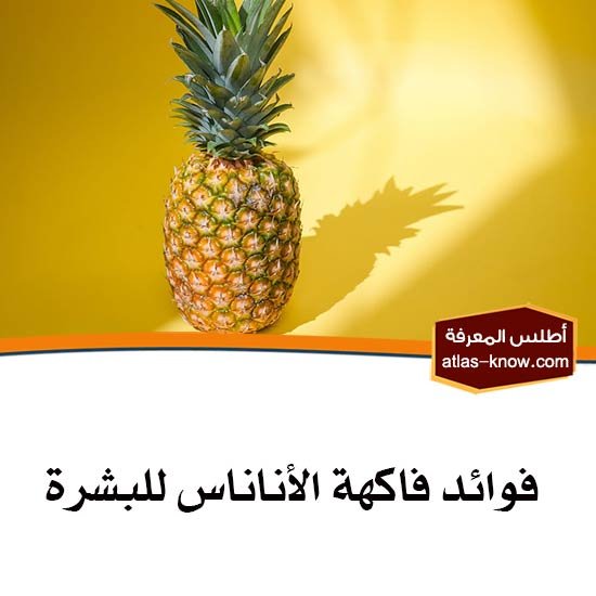 فوائد فاكهة الأناناس للبشرة
