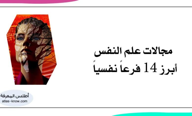 مجالات علم النفس