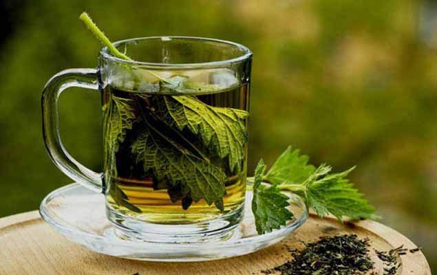 مشروب النعناع يقي من نزلة البرد