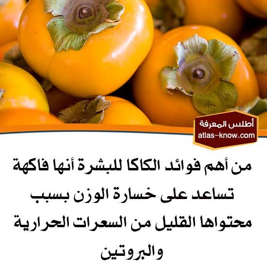 فوائد الكاكا للبشرة، تساعد على خسارة الوزن