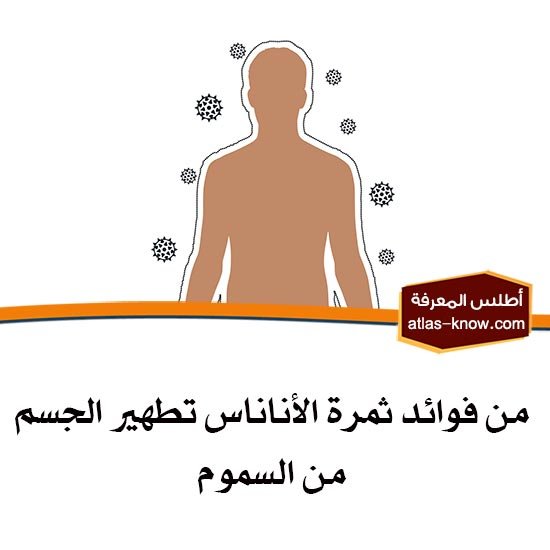 من فوائد فاكهة الأناناس تنظيف الجسم من السموم
