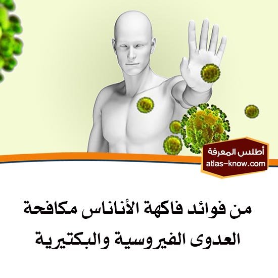 فائدة فاكهة الأناناس في تقوية المناعة