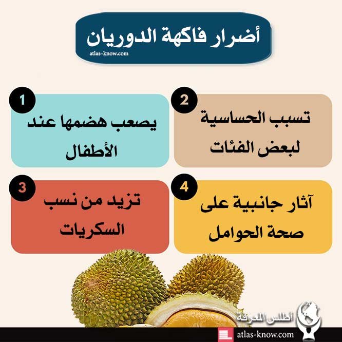 إنفوجراف أضرار فاكهة الدوريان