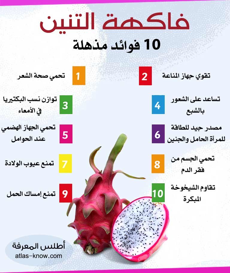 إنفوجراف فوائد فاكهة التنين
