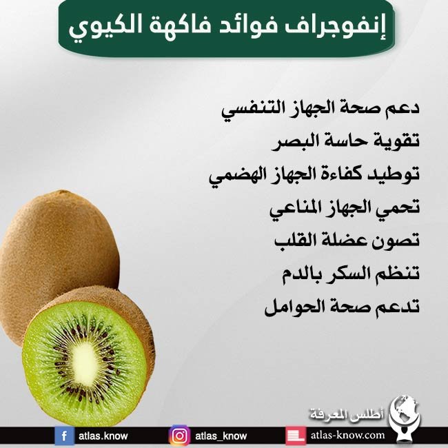 إنفوجرافيك فوائد تناول فاكهة الكيوي