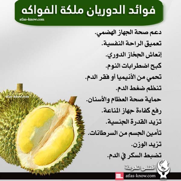 إنفوجرافيك فوائد الدوريان ملكة الفواكه