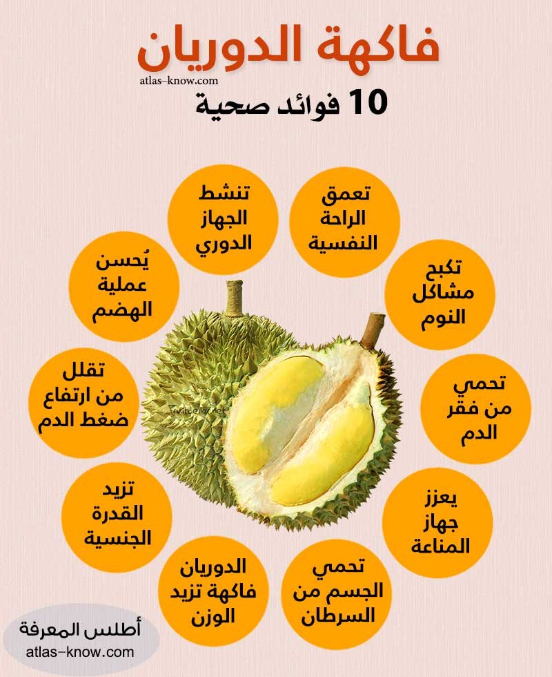 إنفوجراف فوائد فاكهة الدوريان