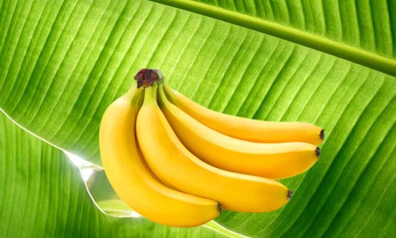أطعمة لا ينصح بتناولها مع فاكهة الموز