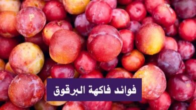 إنفوجراف فوائد فاكهة البرقوق