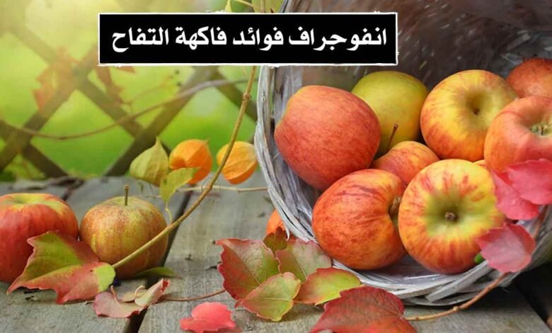 إنفوجراف فوائد فاكهة التفاح