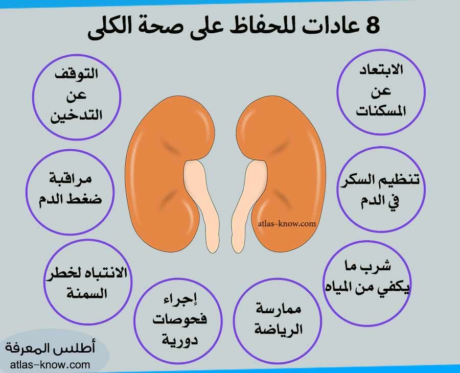 انفوجراف كيف نحافظ على سلامة الكليتين