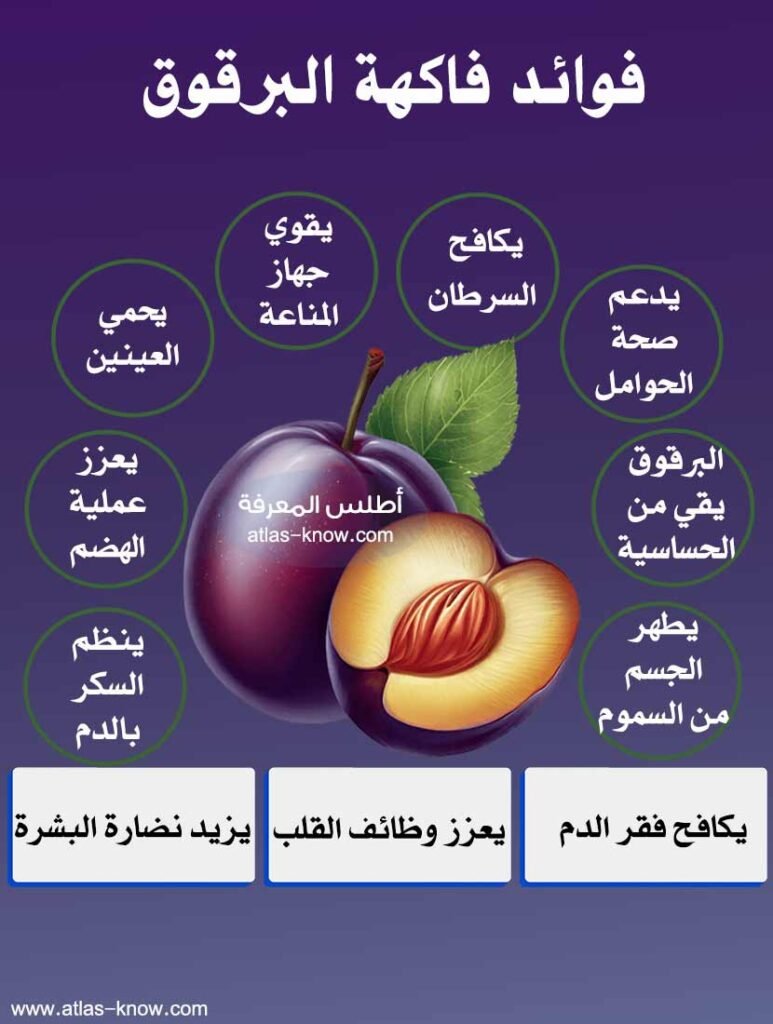 إنفوجراف فوائد فاكهة البرقوق