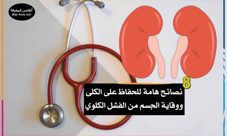 كيف نحافظ على سلامة الكليتين