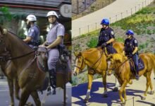 لماذا يمتطي ضباط الشرطة الخيول